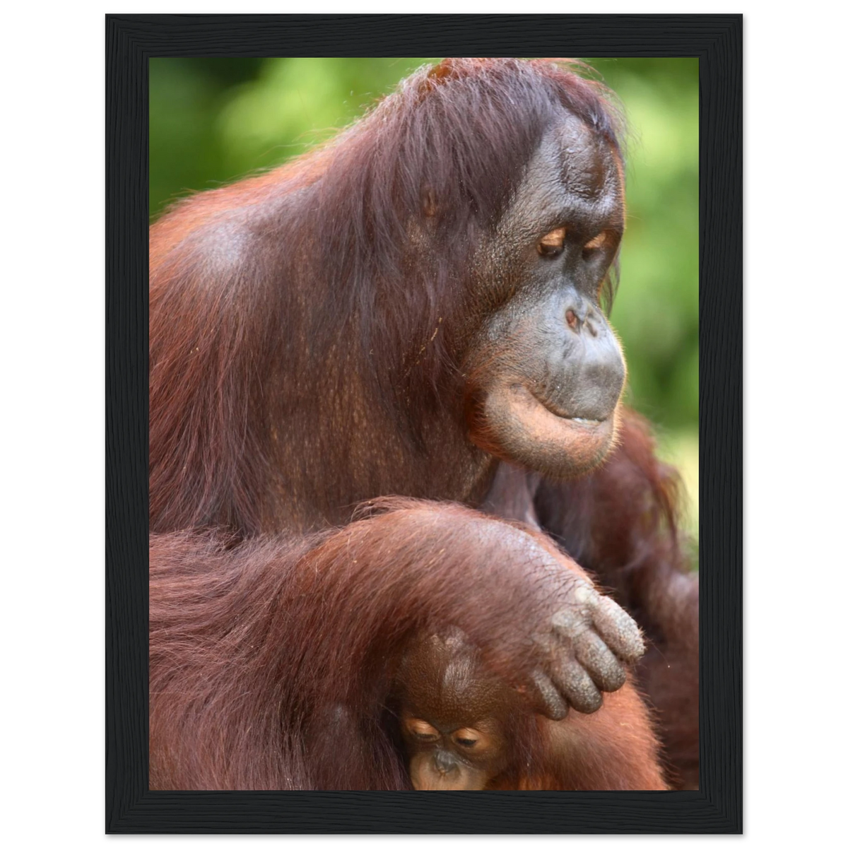 a55931cb-a366-4bb3-9e2d-7986618aea4d