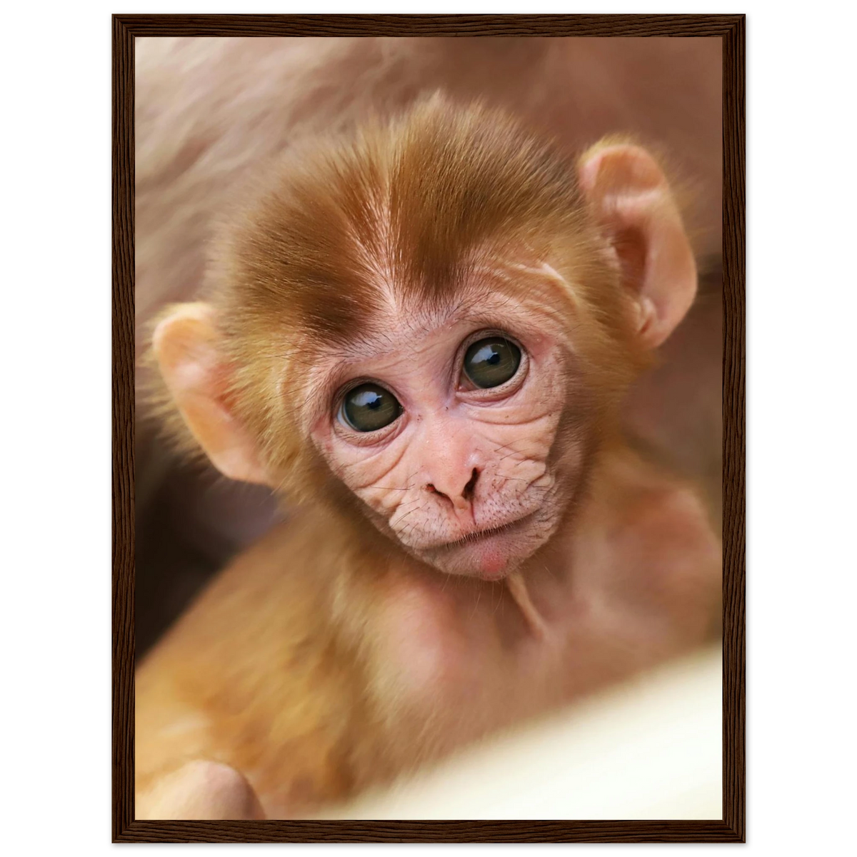 a5829b35-ad5c-48bc-88a0-4535b46f3720