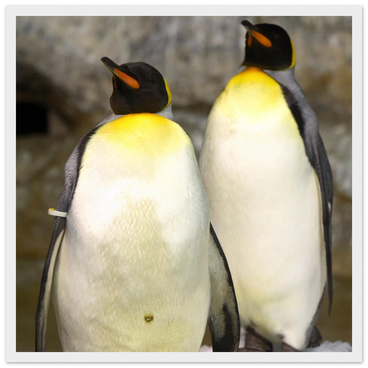 a66be514-8909-4c0c-807a-22a45700ebee