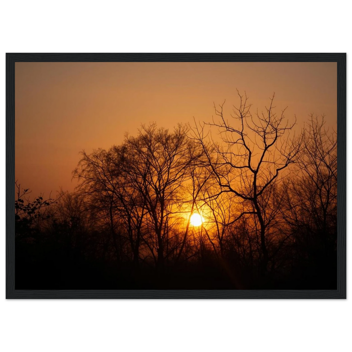 b1bc56bc-6d03-4f4e-8037-060ff0f37309