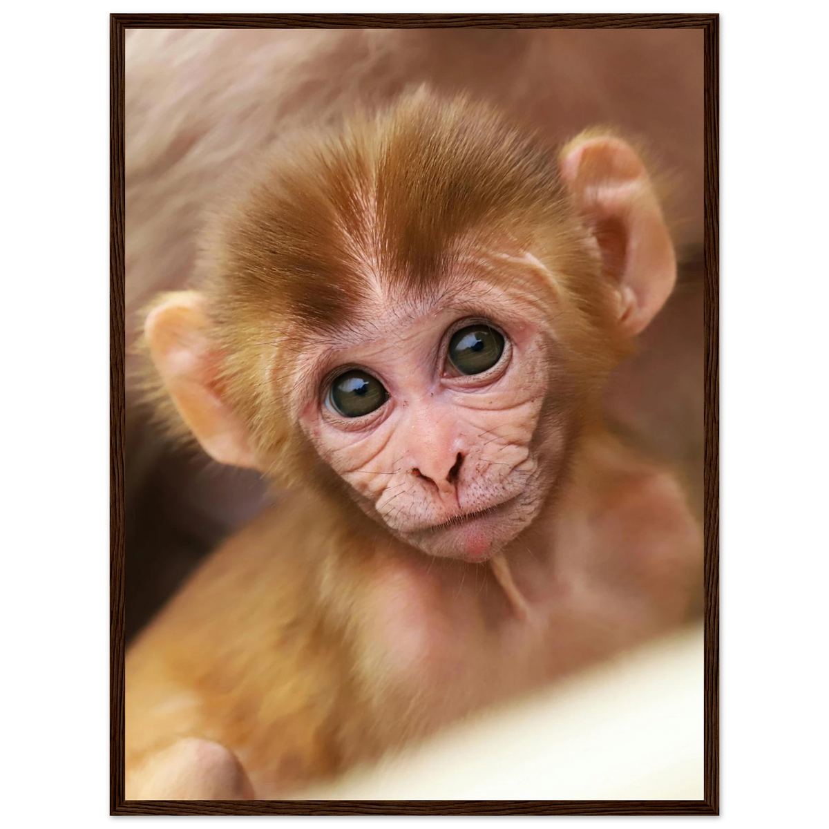 b59258ed-6965-4c25-a632-0e1be3329265