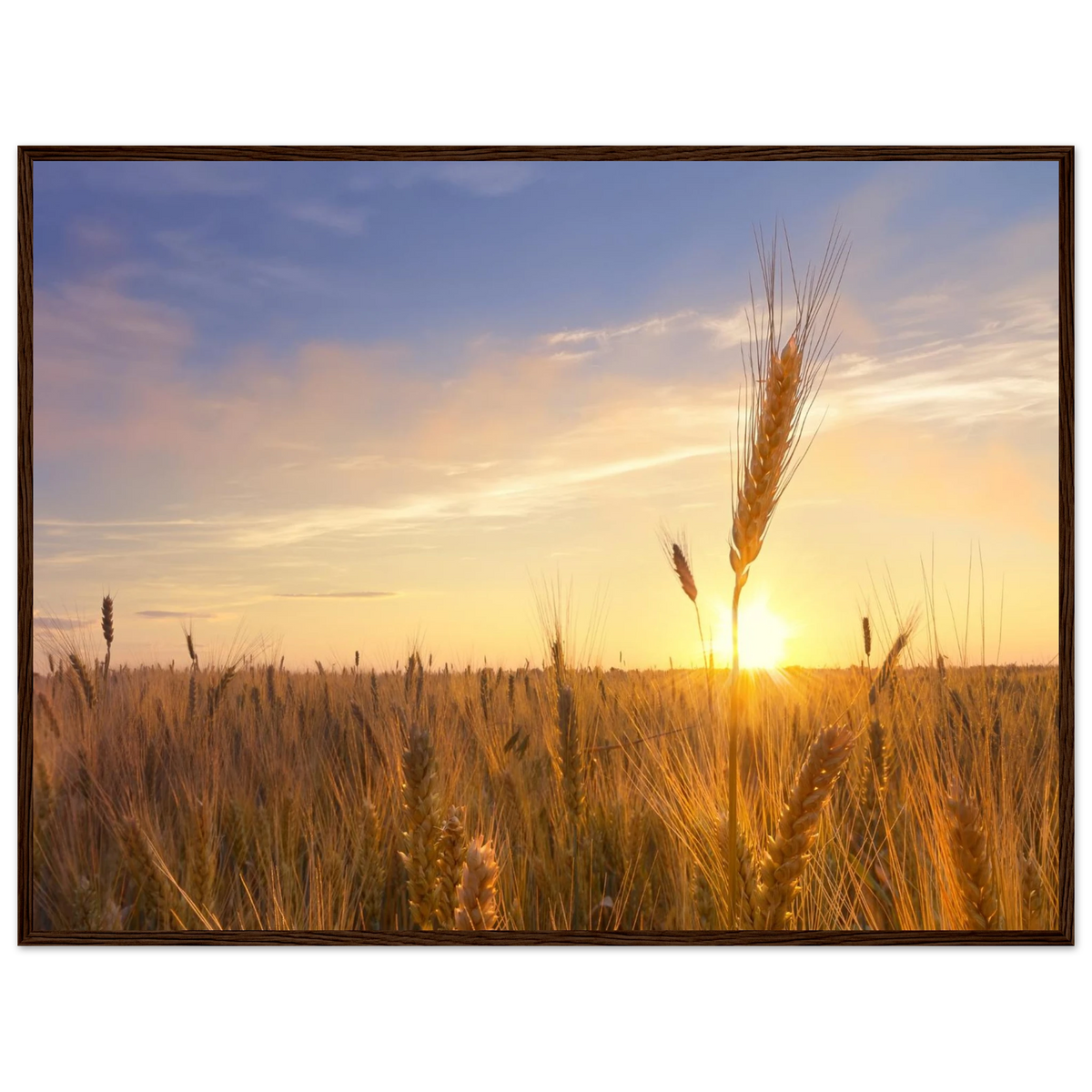 ba31f76d-83c9-4747-8877-26ea14dfb9d4