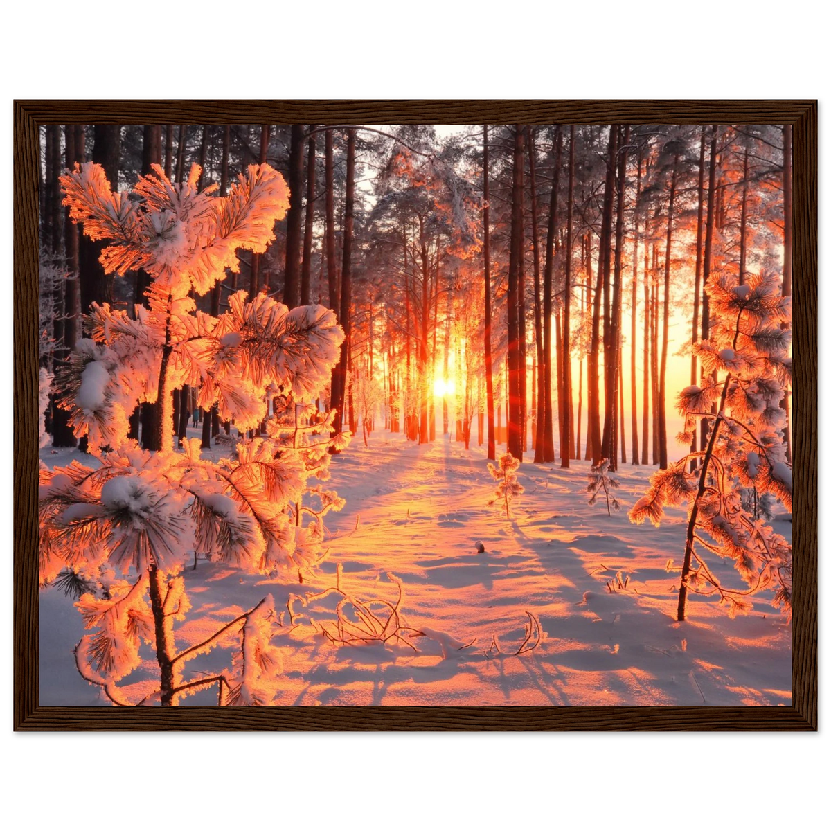 bcb04b1c-aee9-4e51-a7d3-eb276c94983a