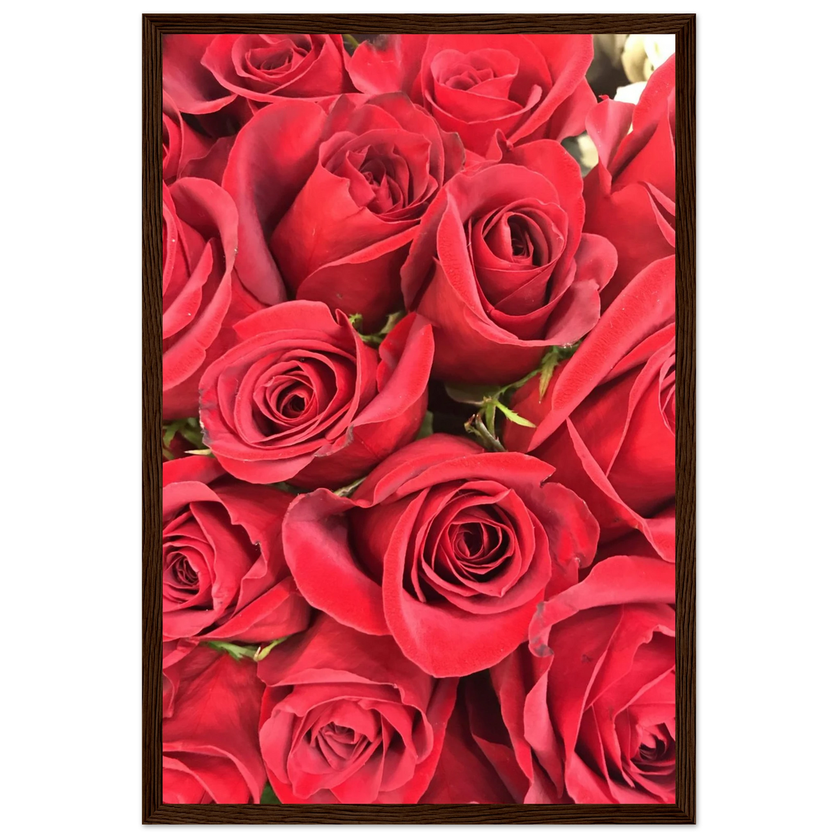 c1621874-f840-42e9-b4ed-e4f8d1246c8f