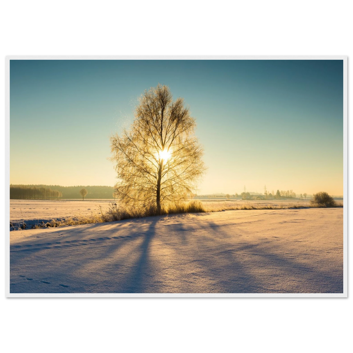 c43cce27-07bc-46ad-830a-e7f32a001df2