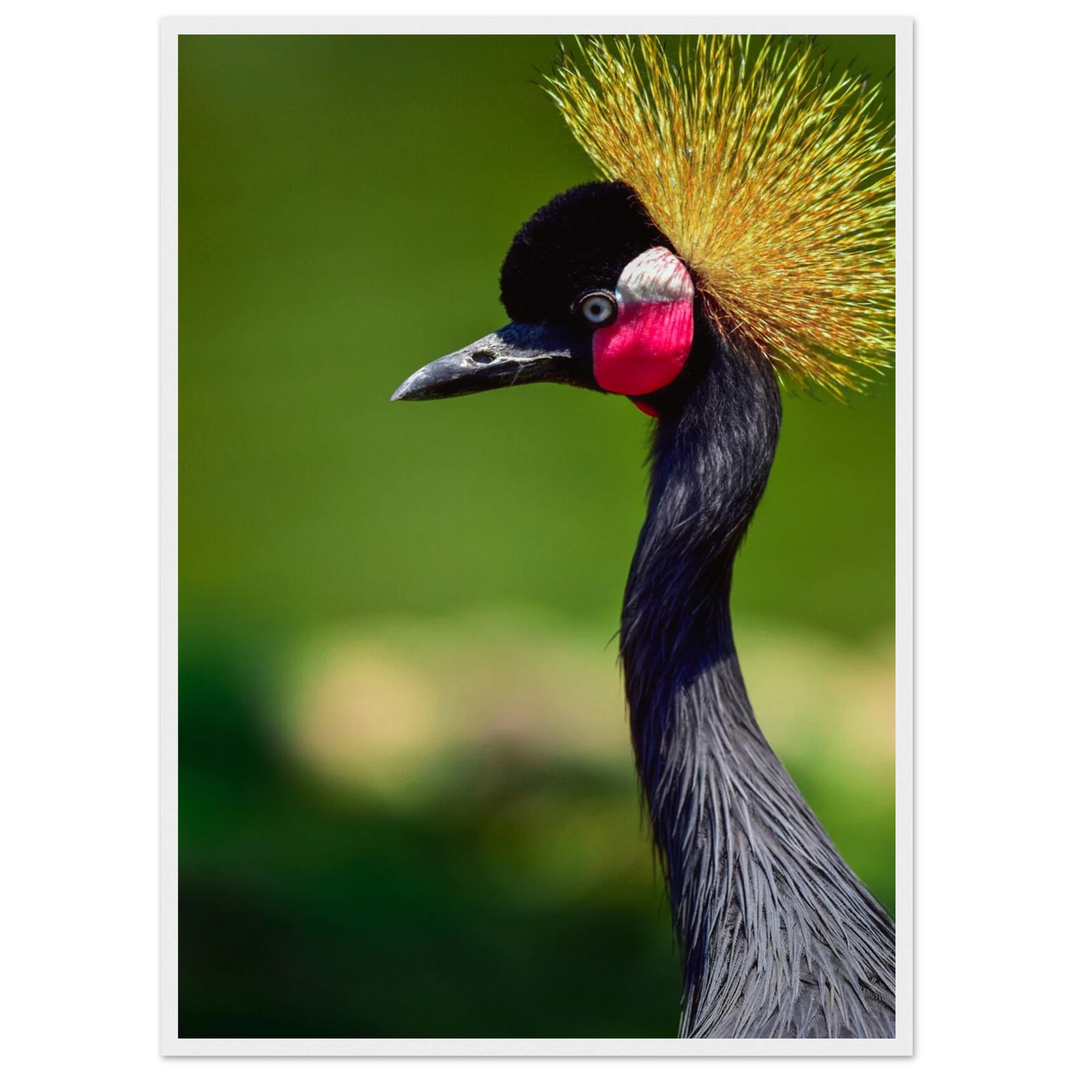 c71a046b-af36-4d6f-b71b-42bebb4b0c4f