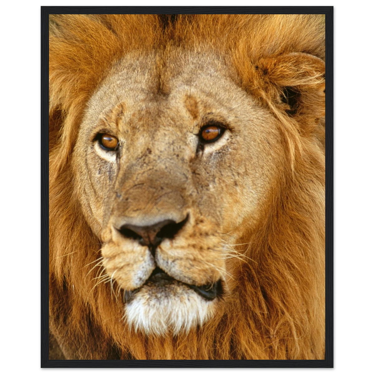 c7d1b54b-c7bd-478d-b374-8c44f7b4b49d