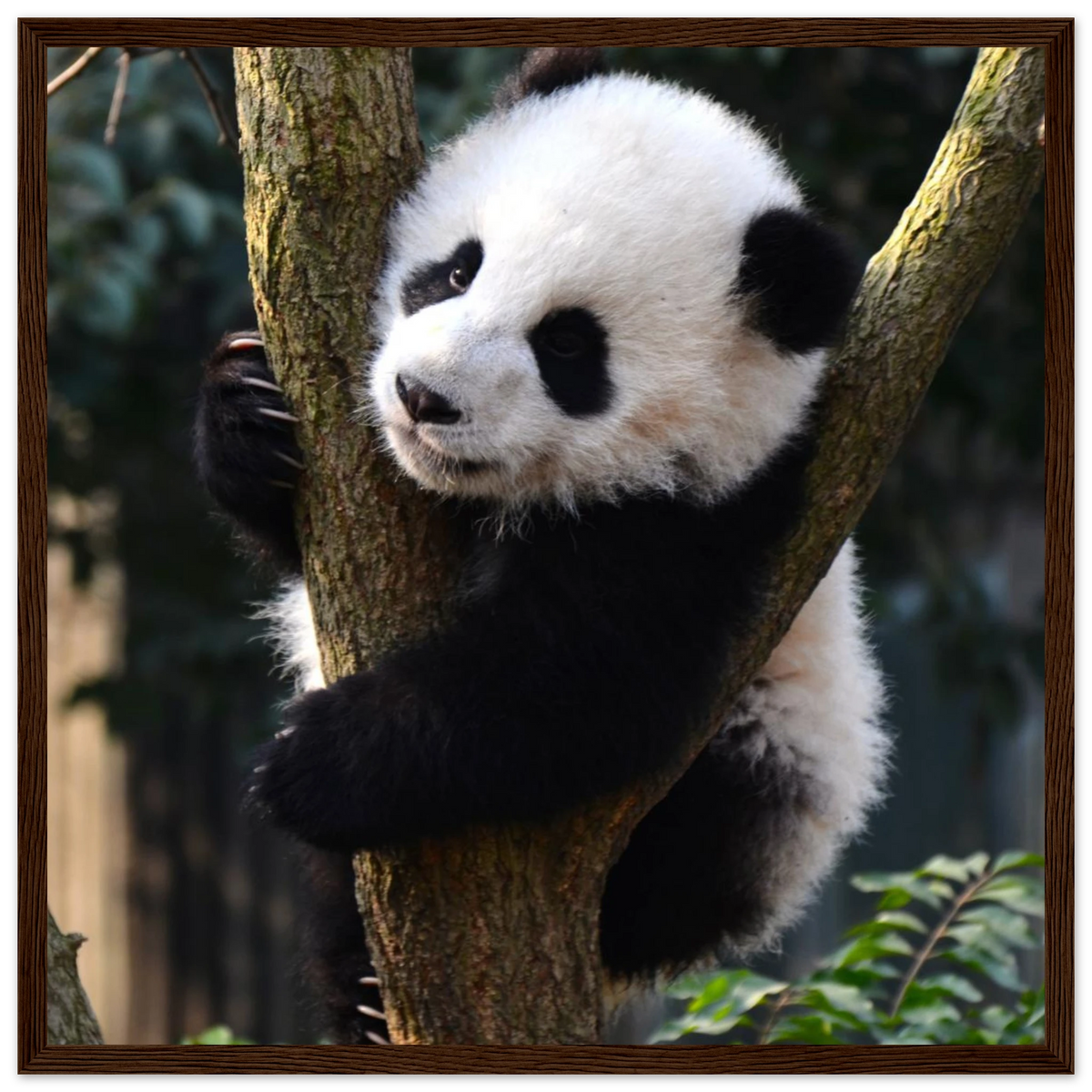 c857bcc4-0639-459f-b619-a597c7670578