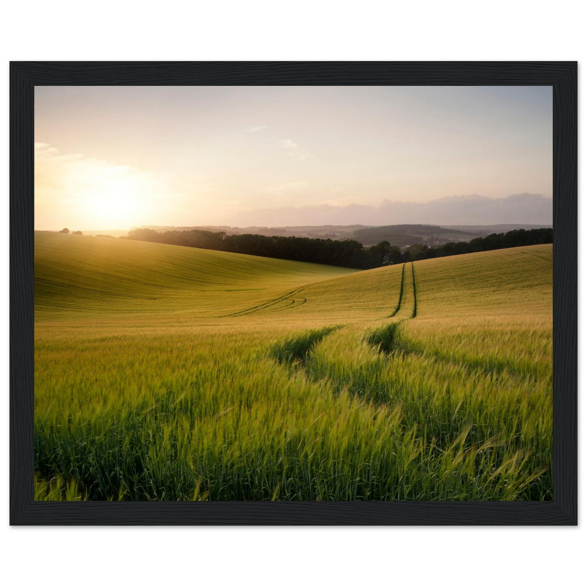 cf896144-f258-42e3-a442-89b634ab80f5