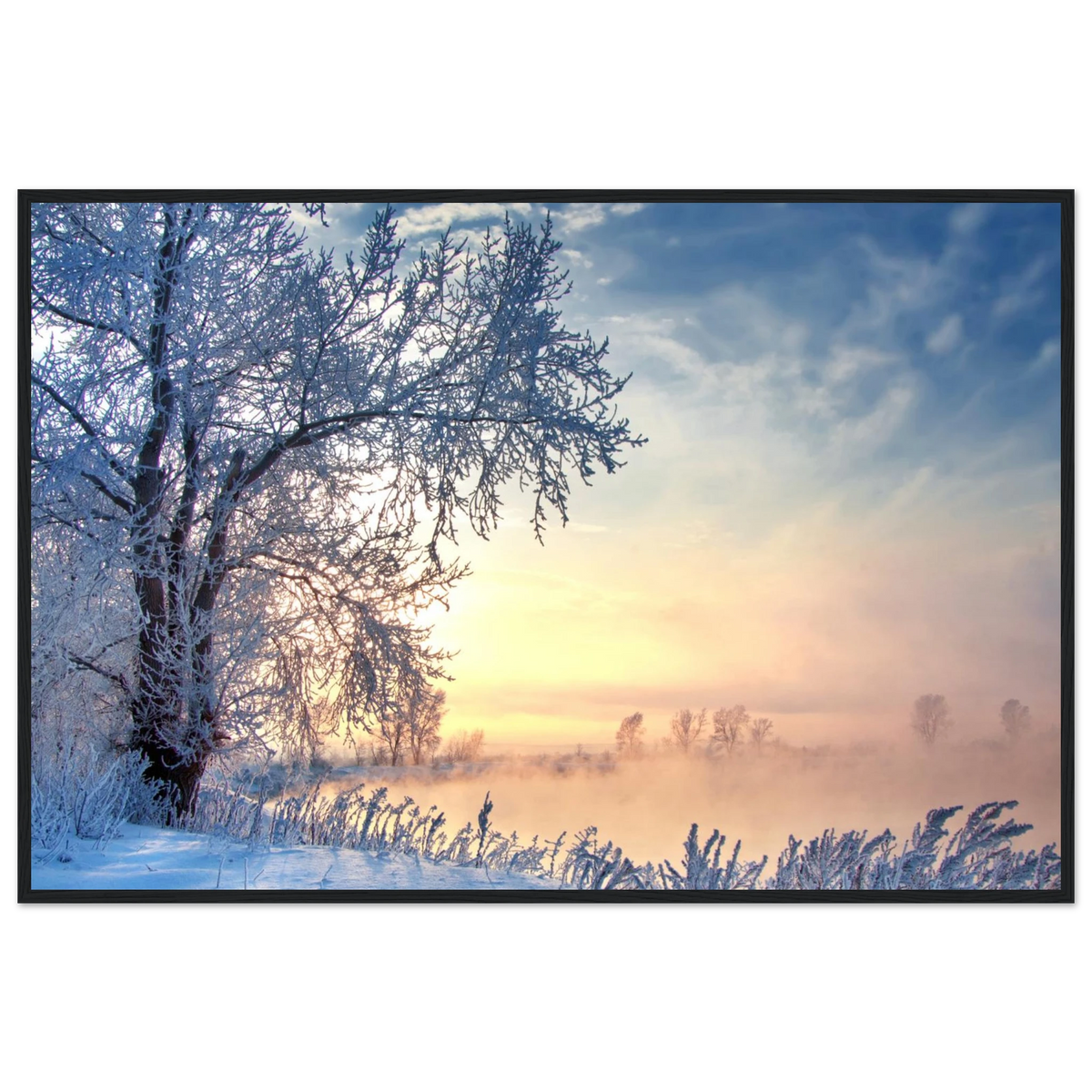 d2996963-7ff8-4304-9516-ee885a28ae03