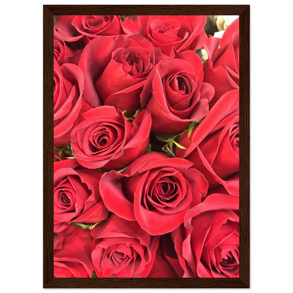 d7f07bb9-cdb1-4a32-ae46-ad66135c37e4