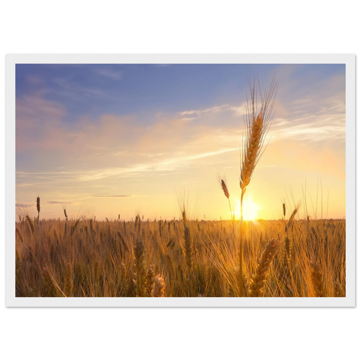 d97695f9-8b73-455b-8099-3f4544809fd9