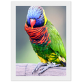 db6a3bbb-633a-4625-9538-d33de12fddee