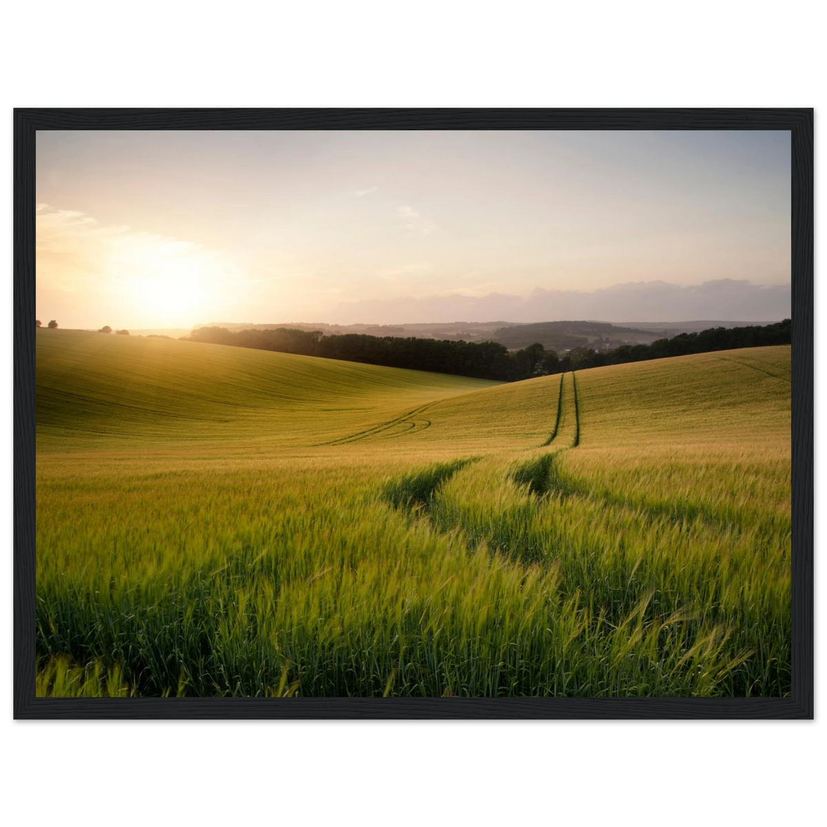 e3bf5600-9a5a-4ce1-8d3d-60aa2e3ae0eb