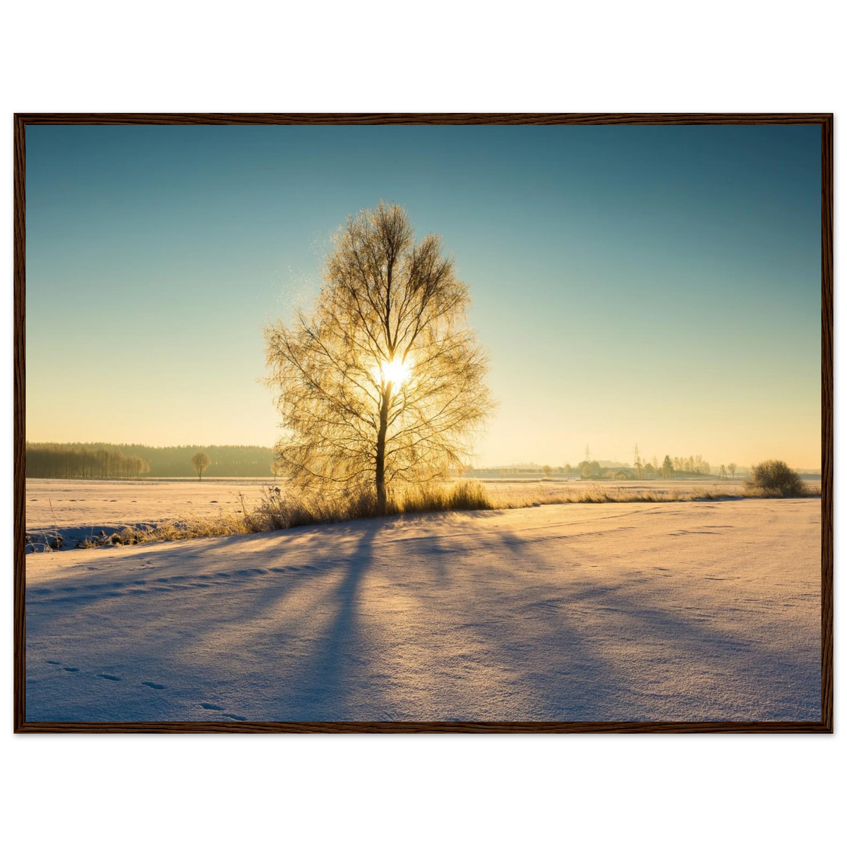 e3e855d8-c845-4124-ae94-52bdcc68975a
