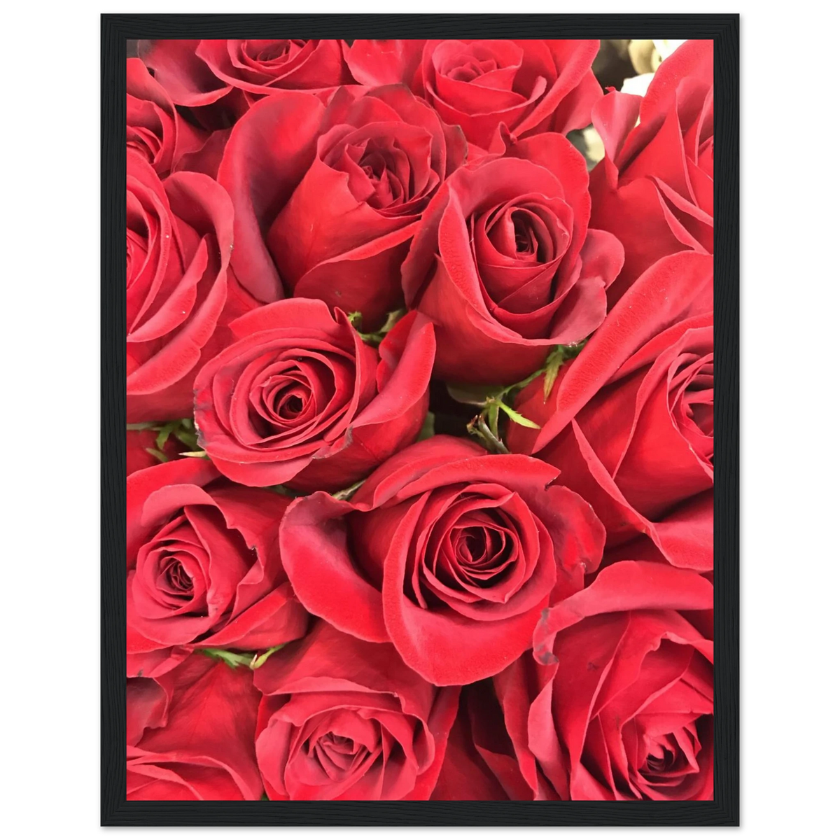 e78bdb74-2f25-4546-bbfd-ed6c4ab1dfd0