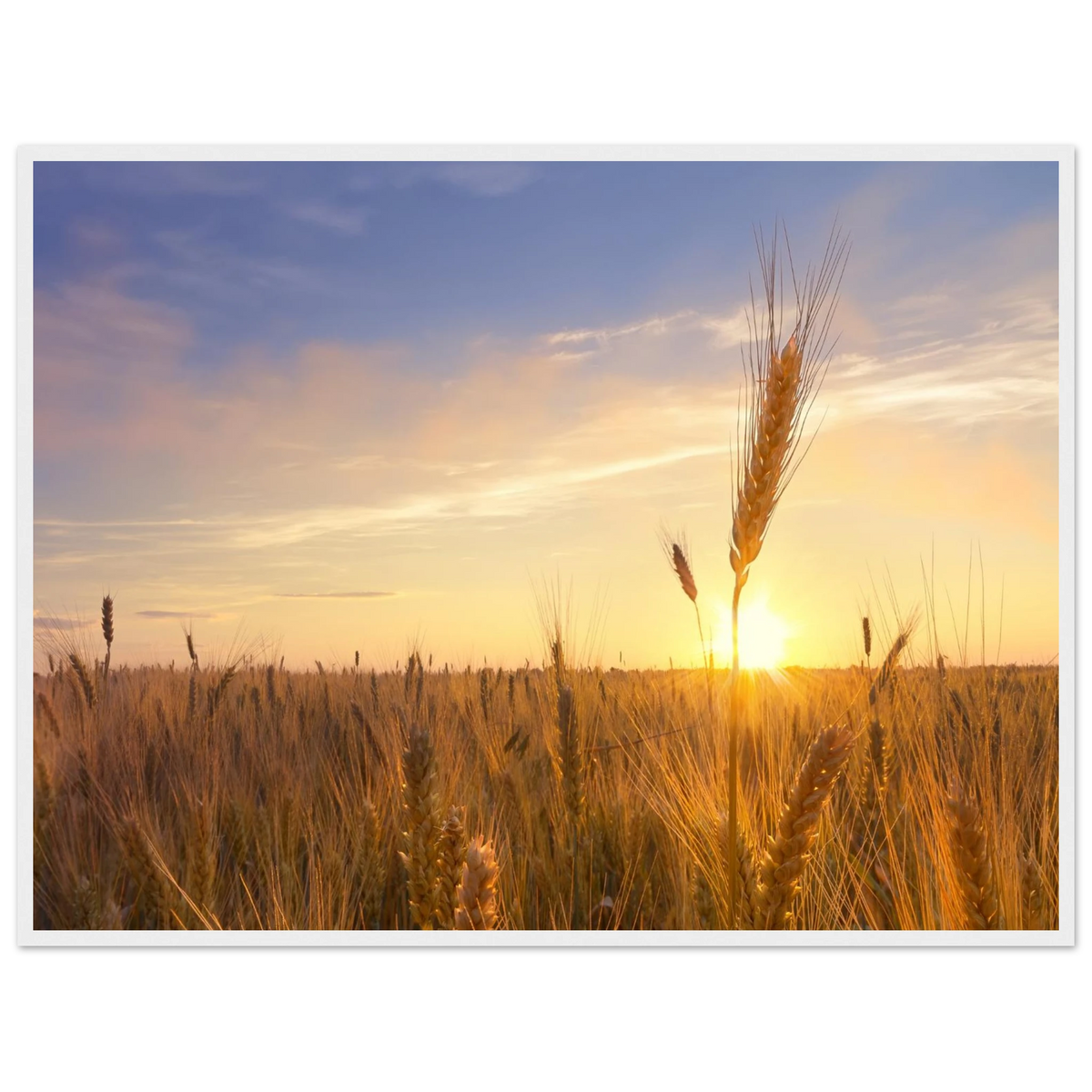 e90a8485-bbad-4611-bf88-c1570688024e