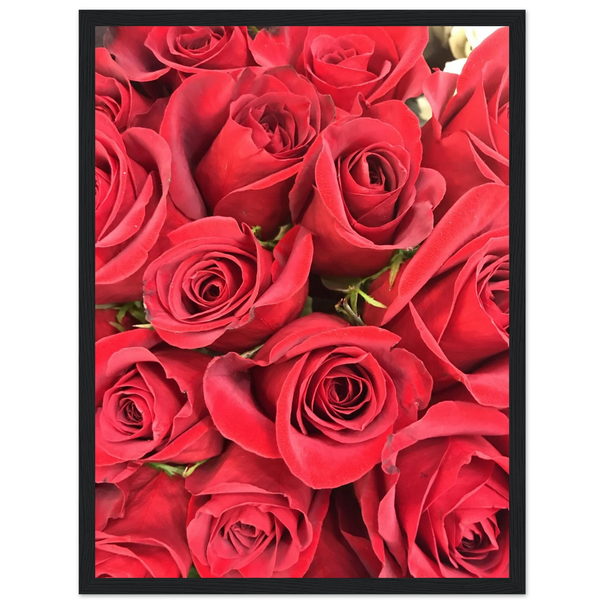 e93a6360-6563-4bf1-9f63-72926bd9eac2