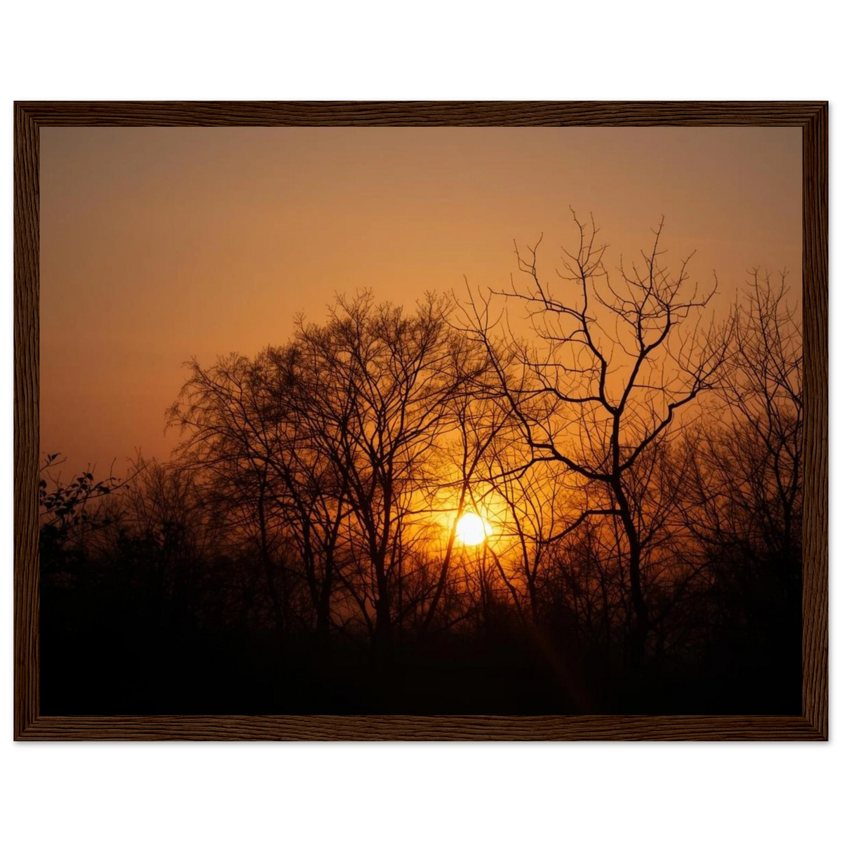 ebb4b958-2873-40cf-b797-15d8e0512416