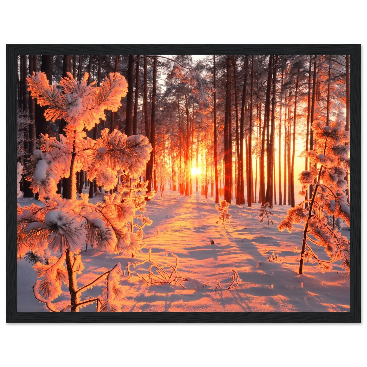ec17a540-9c20-4619-804b-0bc81565341f