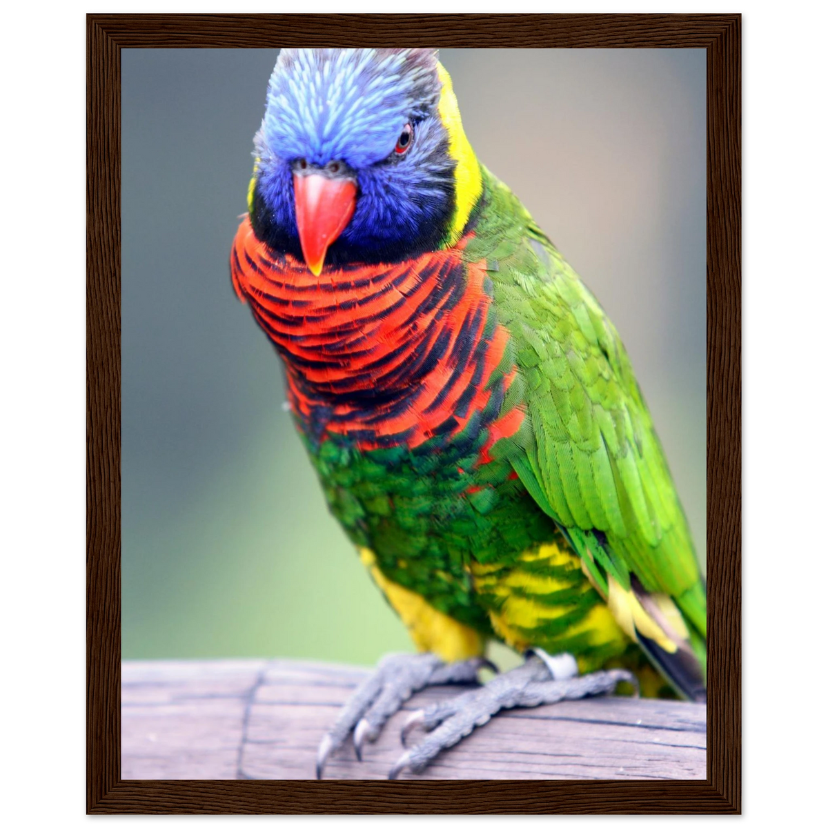 ecd06784-3bb3-4de0-abd6-d3b0cfb5b6f5