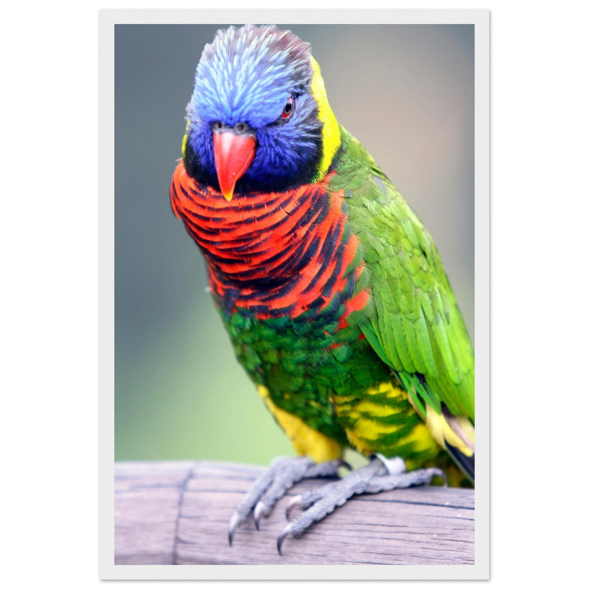 f3940a98-42f7-42b0-9623-04c707ef42b8