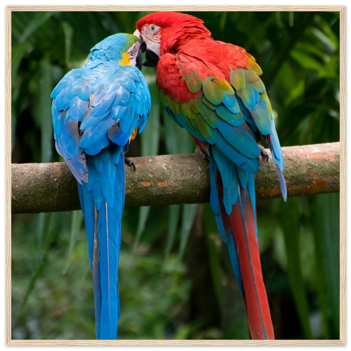 f8d23724-9a79-4568-a10c-f2b9fcb65263