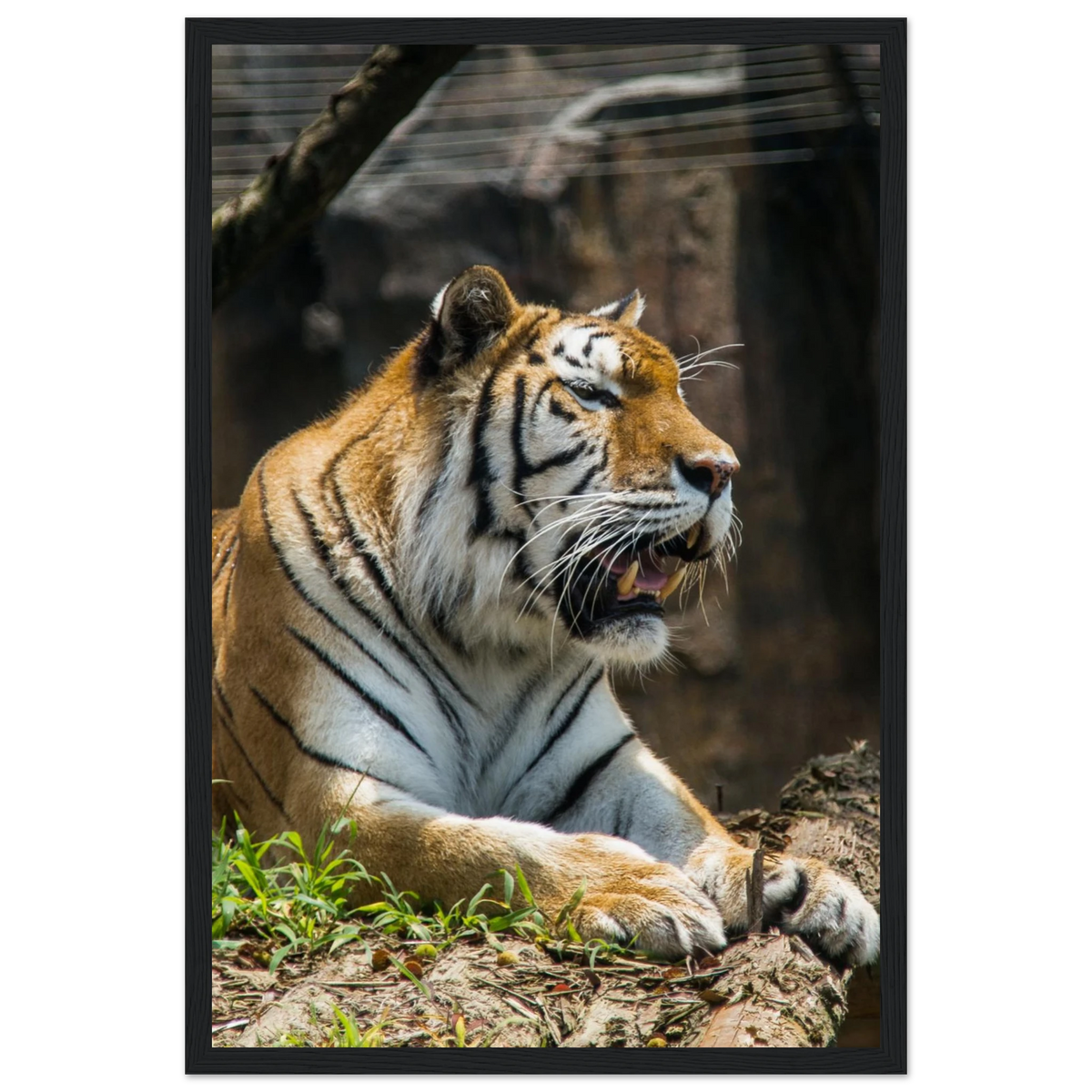 f940d821-48f7-4939-b222-431b12c721bc